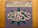 Bedrock - For What You Dream Of..., 12