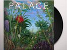 Palace - Life After. Vinyl 12