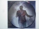 Michel Sardou 45Tours format vinyle 25cm picture disc Comme D'habitude / Medley