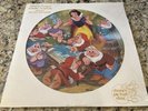 Vintage Walt Disney Snow White and the Seven Dwarfs Picture Disc LP Vinyl 3101