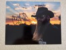 Autographed 8x10 Cody Jinks - Backside Of 30 [New Vinyl LP] Brown, Colored Vinyl