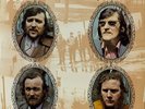 The Wolfe Tones Let The People Sing NEAR MINT Dolphin Records Vinyl LP