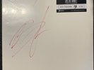 Beth Hart A tribute to led zeppelin Vinyl Test Pressing