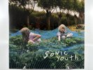 Sonic Youth - Murray Street Vinyl Record 2002 Goofin Press
