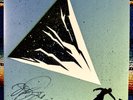 DJ Shadow- The Mountain Will Fall, Autograph/Signed OG 1st Press, Run the Jewels