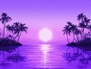 Purple Disco Machine : Paradise VINYL 12