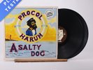 Procol Harum A Whiter Shade Of Pale / A Salty Dog Double LP Vinyl Record - EX/EX
