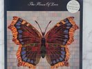 The House Of Love – The House Of Love  12