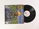 Lonnie Liston Smith / Cosmic Echoes - Visions Of A New World on Flying Dutchman