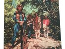 CREEDENCE CLEARWATER REVIVAL Green River 1969 Vinyl LP Fantasy 8393