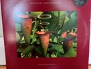 Artificial Intelligence 2 Warp Compilation Limited Edition 3 X Vinyl Records