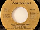 Soul 45 THE PAGE THREE - Wait One Minute Baby the Love We Had Tenacious EX HEAR