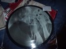 SUPERBE  33T   PICTURE DISC   TEST PRESSING  BRIGITTE BARDOT