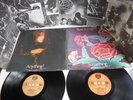 Todd Rundgren Something Anything Mint- Double LP 1973 Bearsville K 65501 Poster
