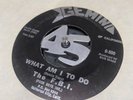 THE F.B.I. day time nite time / what am i to do 45 rare garage GEMINI