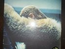 Lemonade by Beyonce (Record, 2017)