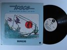 TRACE Birds SIRE LP VG+ wlp n
