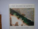 SISTERS OF MERCY - WHISTLE TEST STUDIOS - 7