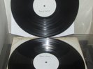 THE FAMILY DOGG ORIG UK 1969 BELL RARE 2 X 1 SIDED TEST PRESSING Led Zeppelin