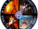 NM MOTLEY CRUE YOURE ALL I NEED WILD SIDE HOME SWEET HOME 12