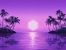 Purple Disco Machine - Paradise - Limited Transparent Purple Colored Vinyl [New