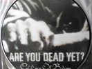 Children Of Bodom ‎– Are You Dead Yet? - Limited edition VINYL (2009)