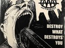 Against All Authority Destroy... Record