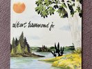 Albert Hammond Jr. - Yours To Keep Records