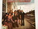 Vintage 1973 Lynyrd Skynyrd 