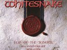 Whitesnake Slip of the Tongue: 30th Anniversary Remaster MMXIX (Vinyl)