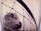 PEARL JAM-Vs 1993 Epic Z 53136 OG 12” Stereo LP Vinyl Record Daughter Dissident