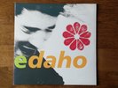2 LP Vinyles 33 T - Etienne Daho 