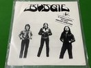 Budgie - If Swallowed Do Not Induce Vomiting - 4 Track Promo 12”