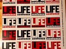 LIFE SENTENCE - No Experience Necessary - LP Vinyl CHICAGO PUNK  orig press 1989
