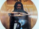 THE DOORS PICTURE DISC : 
