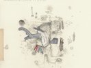 Frightened Rabbit | Black Vinyl LP | The Midnight Organ Fight |