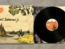 Albert Hammond Jr - Yours To Keep vinyl LP record RARE and OOP rsd the strokes