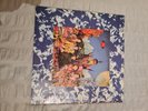 Rolling Stones  Their satanic Majesties Request Vinyl