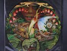 SPYRO GYRA: morning dance INFINITY 12