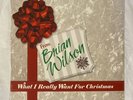 Brian Wilson WHAT I REALLY WANT FOR CHRISTMAS Vinyl LP Record New  Beach Boys