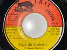 PROFESSOR GRIZZLEY- FIGHT THE PROFESSOR- 7