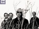 Tom Petty & Heartbreakers - Echo [New Vinyl LP]