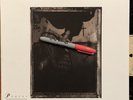 Surfer Rosa by Pixies (Record, 2004)