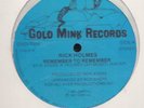JAZZ/FUNK /ROY AYRES -- RICK HOLMES -- REMEMBER TO REMEMBER / TO THE   -  US  12