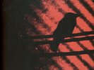 Thee Silver Mt. Zion - Born Into Trouble As The Spar (Vinyl EP - 2003 - Reissue)