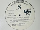 Gang Starr - Step In The Arena/Check The Technique (TEST PRESSING) 12