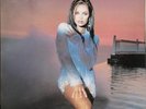 Vanessa Williams The Comfort Zone Vinyl