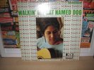 LP-NORMA TANEGA-Walkin'My Cat Named Dog(New Voice).