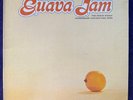 THE SUNDAY MANOA Guava Jam LP '69 HULA HS 543 Hawaiian Folk PETER MOON EX