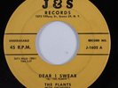 Doo Wop 45 PLANTS Dear I Swear J&S original HEAR b